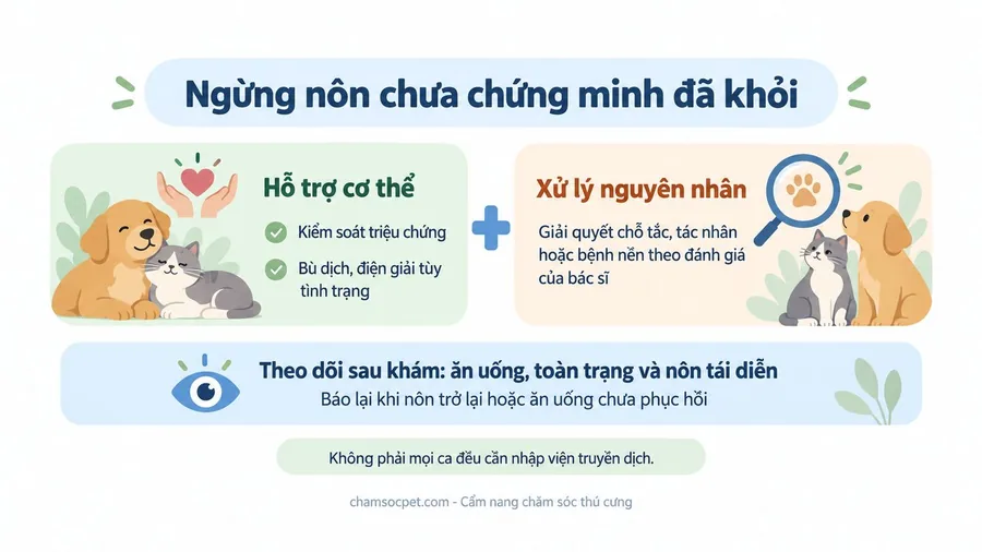 Infographic phân biệt hỗ trợ cơ thể với xử lý nguyên nhân gây nôn ở chó mèo, kèm các nội dung theo dõi ăn uống và toàn trạng sau khám.