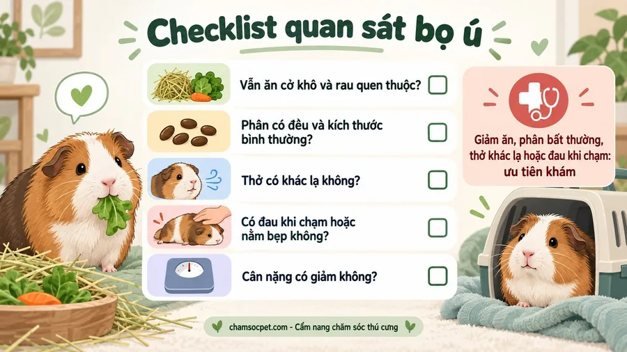 Checklist tiếng Việt giúp quan sát ăn uống, phân, hô hấp, đau và cân nặng của bọ ú.