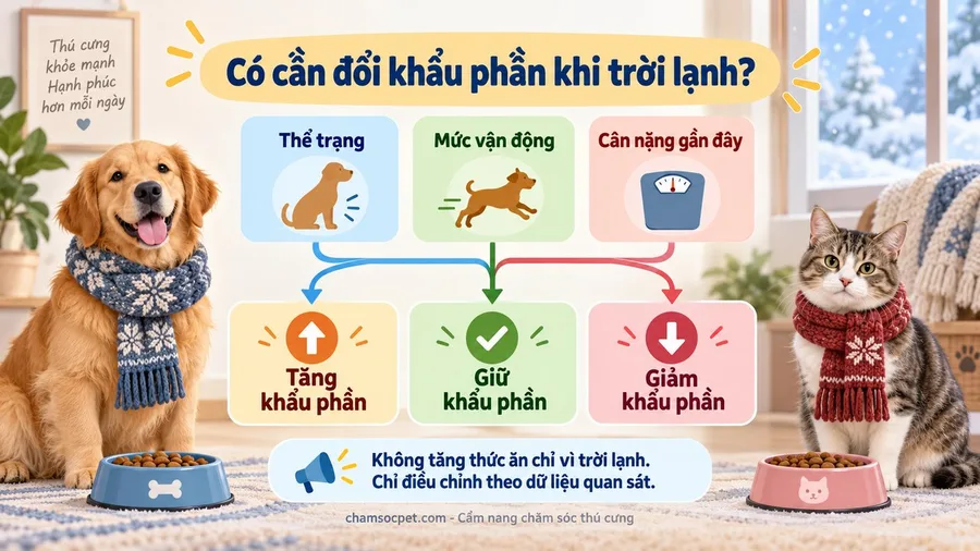 Infographic tiếng Việt dạng sơ đồ quyết định tăng, giữ hoặc giảm khẩu phần cho chó mèo dựa trên thể trạng, vận động và cân nặng.