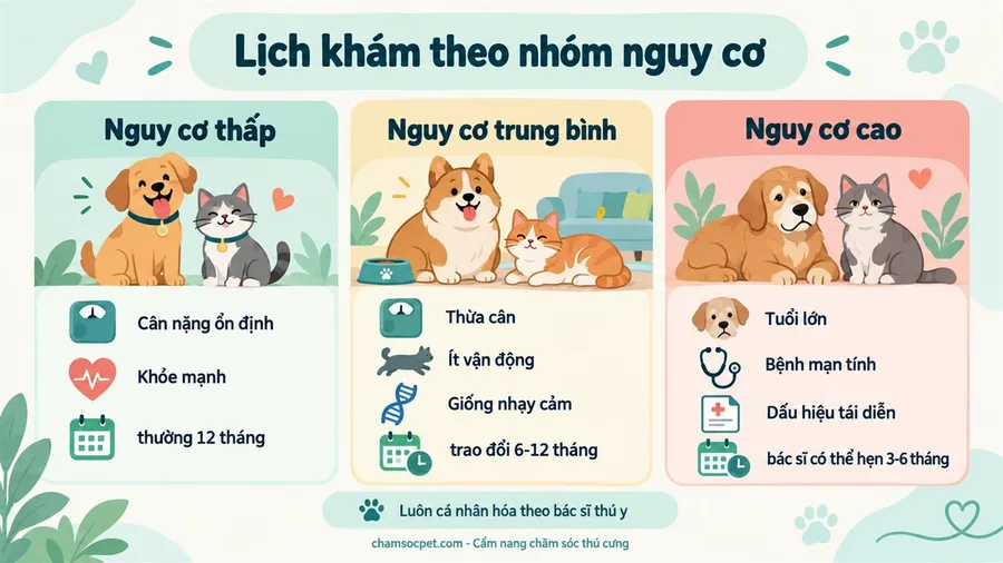 Infographic so sánh ba nhóm nguy cơ thấp, trung bình và cao khi lập lịch khám định kỳ cho chó mèo trưởng thành.