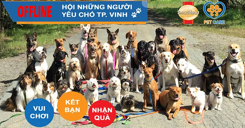 Offline Hội Những Người Yêu Chó – Thành Phố Vinh