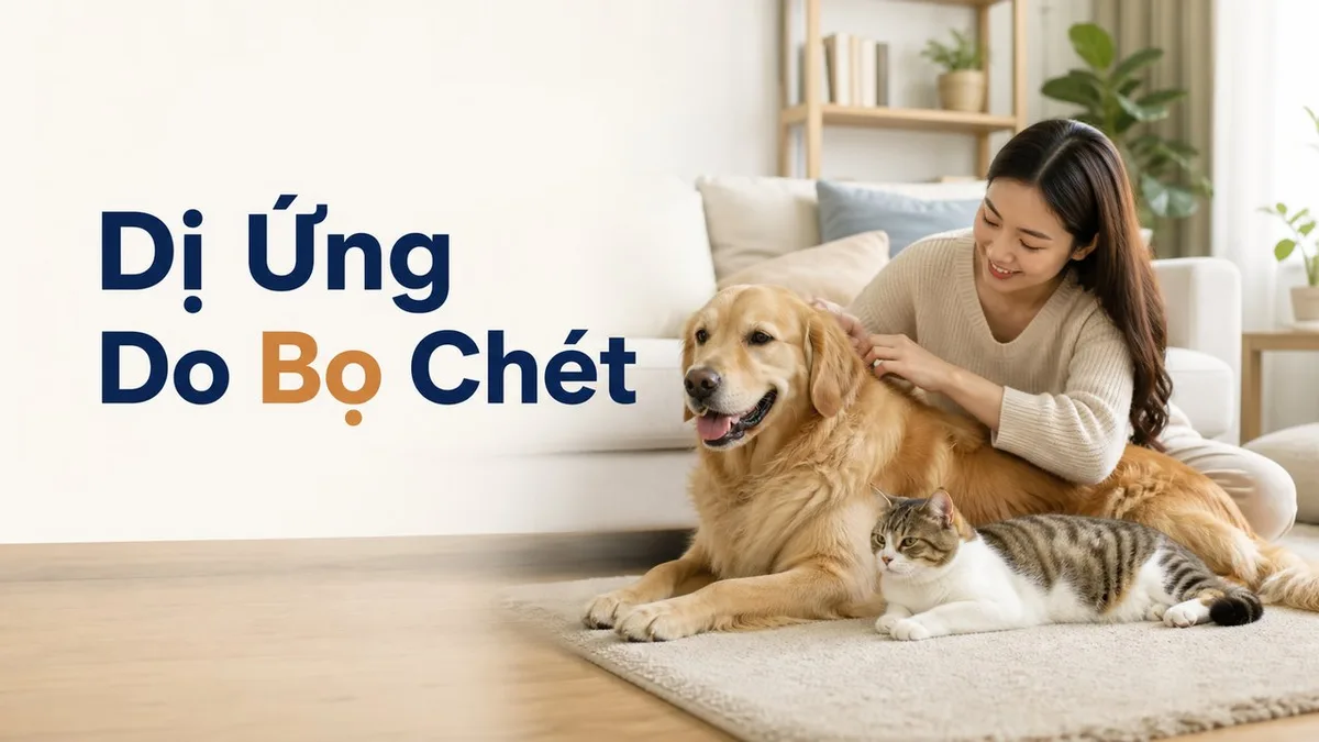 Bác sĩ thú y kiểm tra chó bị viêm da dị ứng do bọ chét trong phòng khám sáng sủa.